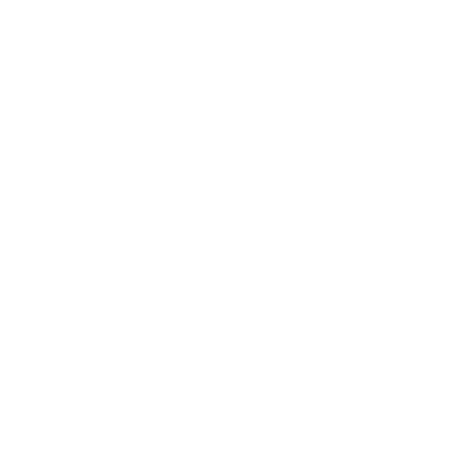 Logo Icon